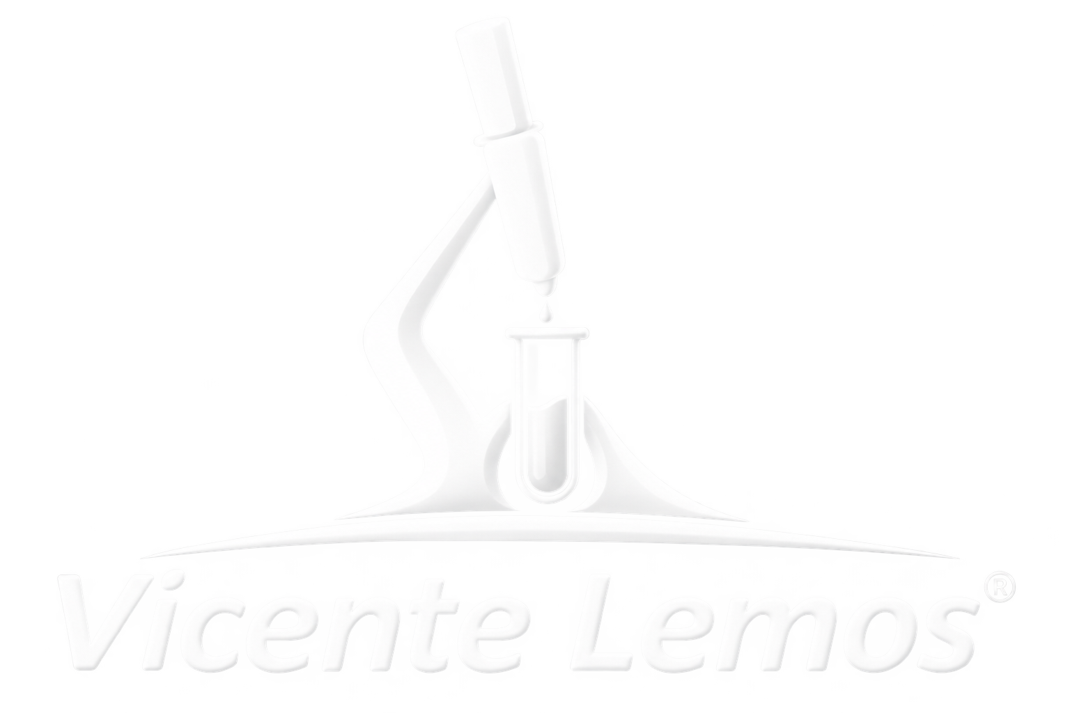 Logo Vicente Lemos